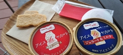 ヤクルトランニ...
