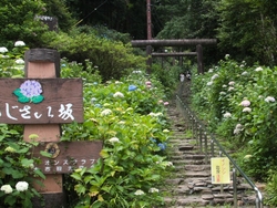 「太平山とちぎ...