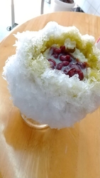 壬生町の蘭学通...