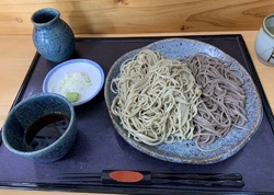 「もりそば（大...