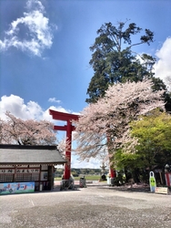 お参りに行きま...