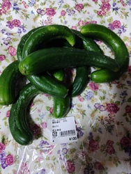 野菜を買いに伺...