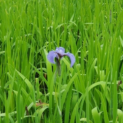 毎年楽しみにし...