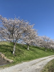 西鬼怒川の堤防...