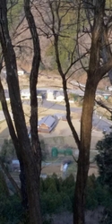 サンシュユ、カ...