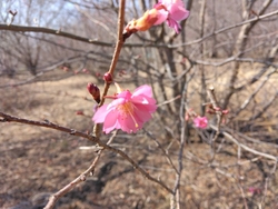 少し前に訪れた...