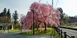 だいや川公園内...
