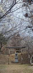 今日は、３月1...