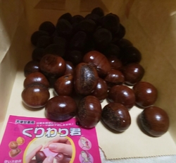 妻が休みだった...