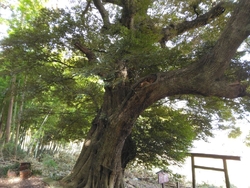 久し振りに、ス...