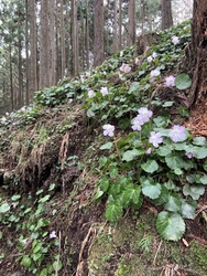 4月1日に訪れ...