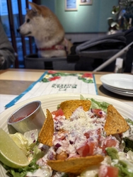 少し早い夕飯を...