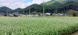 しばらくぶりに...
