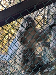 車道と思えない...