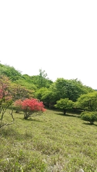 知らなかった地...