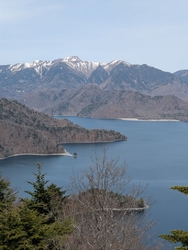 最近中禅寺湖の...