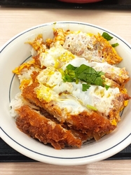 カツ丼が食べた...