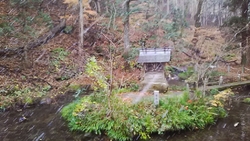冷たい沢の水が...