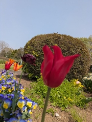 春の花を見に行...
