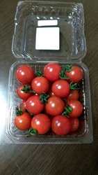 真っ赤な、田島...