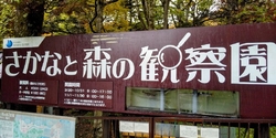 奥日光...
