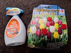 温かい日が続き...