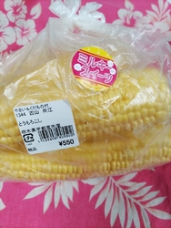 宇都宮からの帰...