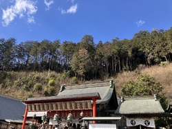 元旦から10日...