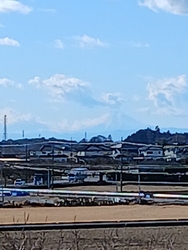 今日は、気温が...