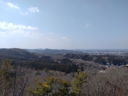 ウォーキングで...