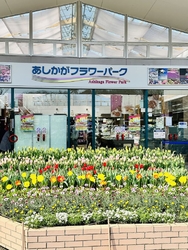 メール登録をし...