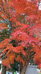 三連休の中日。...