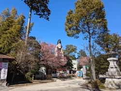 テレビでもよく...