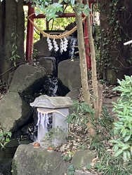 初めてお参りし...