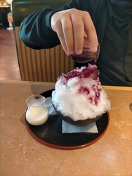 今年のかき氷を...