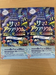 期間限定のサマ...
