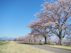 友人のお子さん...