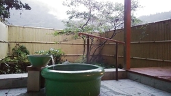 お野菜が沢山取...