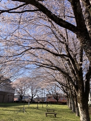 外の芝生公園の...