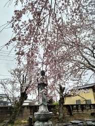 芳賀町観光協会...