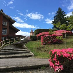 那須高原りんどう湖ファミリー牧場 那須町のテーマパーク 観光牧場 栃ナビ