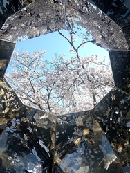 3年ぶりに八角...