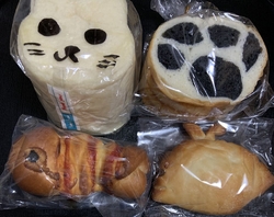 土曜日のみ営業...