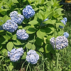所用があり、こ...