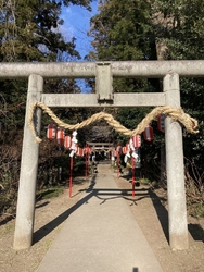 田園の杜に佇む...