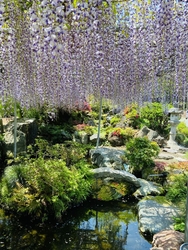 花特集を見て、...
