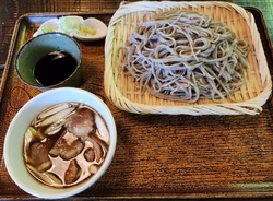 栃木市の太平山...