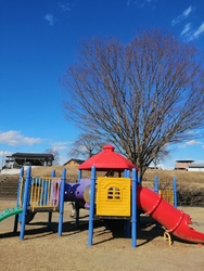 いろいろ食べて...