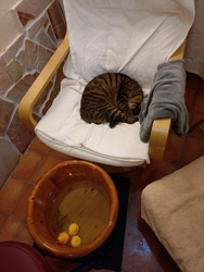 今日もまた、疲...