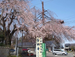 前を通る度に台...